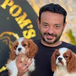 Canil D’Avila Pom’s - @diego_avila_poms - Instagram