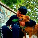 arvin hariri - @arvinhariri - Instagram