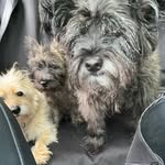 Marvin - @marvin_lewis_anderson - Instagram