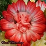 Arvind Grover - @rvnd_grover - Instagram