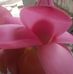 Arvind Krishna Arvnd Kumar - Facebook