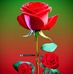 Arvind Kumar - Facebook