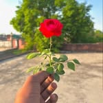 Arvind pillai - @arvind_pillai_i9746 - Instagram