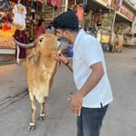 Arvind Purohit - @royal_raj_purohit - Instagram