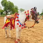 Arvind purohit - @hetal_manohar_purohit - Instagram