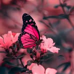Ary Rivera - Facebook