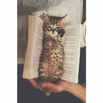 aryb - @aryaaskari17 - Instagram