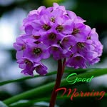 Praveen Kumar - @aryagoel248 - Instagram