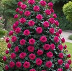 Arya Patel - Facebook