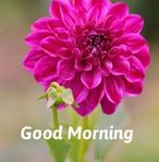 Aryan Soni  - Facebook