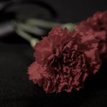 Arzu Calis - @arzu.calis - Instagram