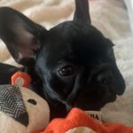 Asa Anderson - @asaofbase_ - Instagram