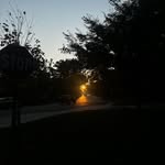 Asa Freeman - @asaisw - Instagram