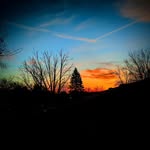 asa haynes - @landpop.forever - Instagram