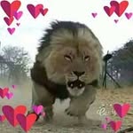 Asad Dar - @asaddar3290 - Instagram