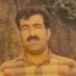 asad.daryaii - @asad.daryaii - Instagram