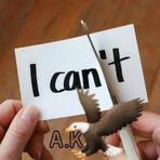 Asad Karim - Facebook