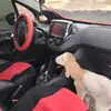 Karim Asad - @karim.asad6 - TikTok
