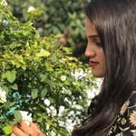 Asadullah ghani - @ghani.asadullah - Instagram