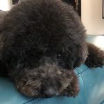 Asako Moriyama - @gon.o_o - Instagram