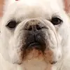 asamiitou - @asamiitou - TikTok