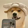 Asamiの暗号化資産 - @asamisuzuki3 - TikTok