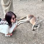 asami suzuki - @_asm310 - Instagram