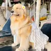 asdasd2621 - @asdasd2621 - TikTok