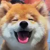 asdasd5800 - @asdasd5800 - TikTok