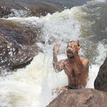 Shanaka Asela Perera - @shanaka_asela - Instagram