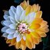 Aser Khan - Facebook