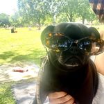 Ash Bailey - @_yasashii_ - Instagram