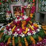 ash desai - @ashdesai45 - Instagram