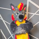 Ash 🦊 - @ashfoxeagerpaws - Instagram