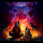 Ash Fox - Facebook