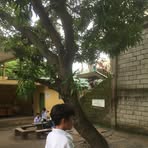 Ash Francisco - Facebook