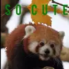 Harvey_Ash - @harvey_ash - TikTok