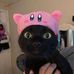Ash King - Facebook