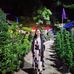 Ash Lee - Facebook