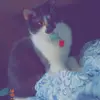 Ash - @ashleymcbride509 - TikTok