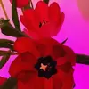 ashmichael359 - @ashmichael359 - TikTok