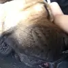 Mack - @ash.michael - TikTok