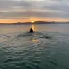 ash morris - @ash.morris_08 - TikTok