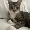 ashh.nguyenn - @ashh.nguyenn - TikTok