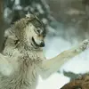 Ash Walker - @creamycandiez - TikTok