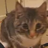 Ash Weaver - @ash.weaver7 - TikTok