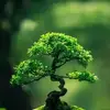 Asha Alex - @asha.alex6 - TikTok