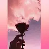 asha alex - @ashaalex15 - TikTok