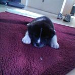 Asha Burrell - Facebook
