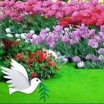 Asha Jimale - Facebook